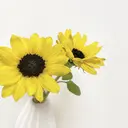 な つのプロフィール画像