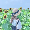 〖miyu〗 yokohama🍨のプロフィール画像