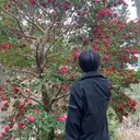 Luccica / 輝hikaruのプロフィール画像