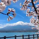 小顔サロン alillin萌歌のプロフィール画像