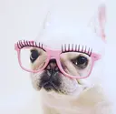 EYEQUEEN 2のプロフィール画像