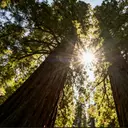 JF- Mizuhoのプロフィール画像
