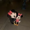 🎀 アネラ しま  🎀のプロフィール画像