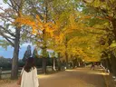 村木 恵里のプロフィール画像
