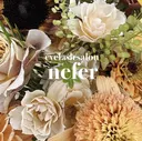 nefer 秋葉原のプロフィール画像