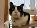 仲本 唯愛のプロフィール画像