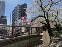藤原 ちひろのプロフィール画像