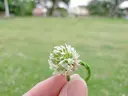 大林 聖子のプロフィール画像