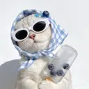 林 ゆかのプロフィール画像