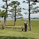🪆ヒキタ ミイコ🧸のプロフィール画像
