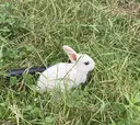 寒河江 実夢のプロフィール画像