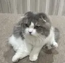 eye’s カマタのプロフィール画像