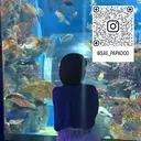 下門 紗栄のプロフィール画像