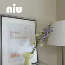 niu🫧kanon /名古屋/丸の内のプロフィール画像