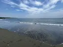 エサージュオム yuunaのプロフィール画像