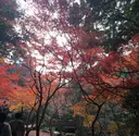小島 史也のプロフィール画像