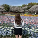 Noa /ネイル/フィルインのプロフィール画像
