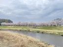 nambu yukaのプロフィール画像