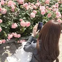 noi. kokoroのプロフィール画像