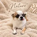 Nature 栗田のプロフィール画像