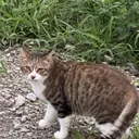 Uti マキノのプロフィール画像