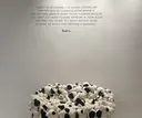 フジモト カリンのプロフィール画像