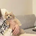 ☁️ MINAMI ☁️のプロフィール画像