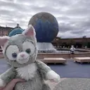研修/ kokoのプロフィール画像