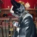 田中 桃嶺のプロフィール画像