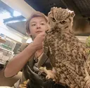 Ailes Yuki代表のプロフィール画像