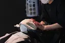 シェア ハピのプロフィール画像