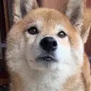 メニューすべて無料★ えみのプロフィール画像