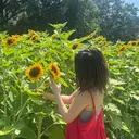 新田 しずくのプロフィール画像