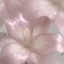 yuki 🦋のプロフィール画像