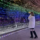 momoka .Uのプロフィール画像