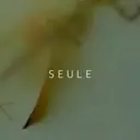 SEULE nailのプロフィール画像