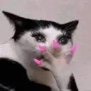 A Aのプロフィール画像