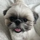 石田 朱里のプロフィール画像