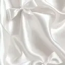 Bianca 赤羽 アヤノのプロフィール画像