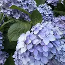 実藤 凪海のプロフィール画像
