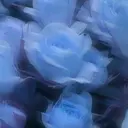Tink 大船のプロフィール画像