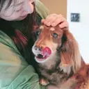 ﾅﾁｭﾗﾙｼﾞｪﾙ♡ ﾈｲﾙｹｱ Obaのプロフィール画像