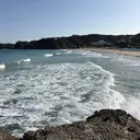 田中 迅跳のプロフィール画像