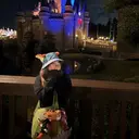 ネイルサヴォイ本厚木 ⭐️あんりのプロフィール画像
