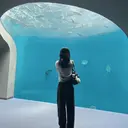 横山 桃香のプロフィール画像