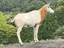 佐藤 一稀のプロフィール画像