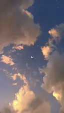 櫻井 愛花のプロフィール画像