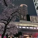XU XUのプロフィール画像