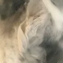 EAGLE￤ kae🕯🎀のプロフィール画像