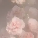 江原 楓果のプロフィール画像